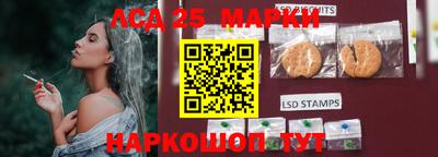 спиды Можга