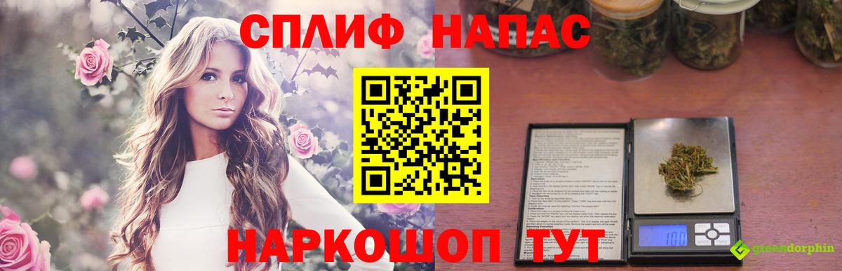 Бошки Шишки MAZAR Аша